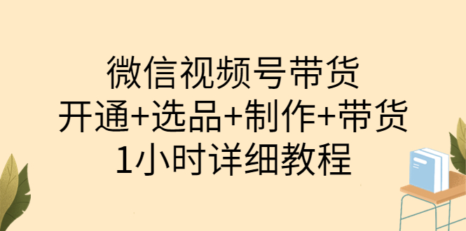 【副业项目3940期】陈奶爸·微信视频号带货：开通+选品+制作+带货（1小时详细教程）-91集赚创业网