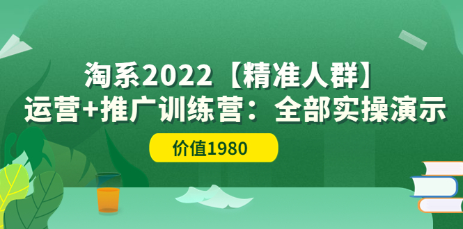 【副业项目3941期】淘系2022【精准人群】运营+推广训练营：全部实操演示-91集赚创业网