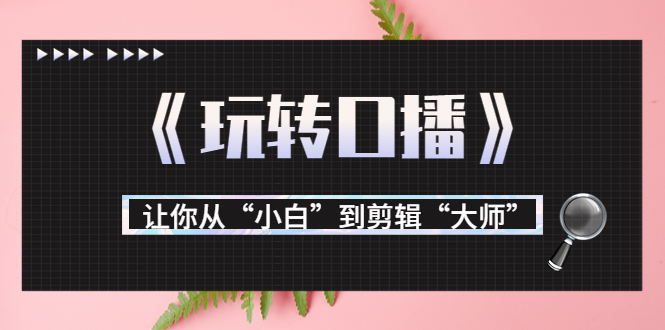 【副业项目3987期】月营业额700万+大佬教您《玩转口播》让你从“小白”到剪辑“大师”-91集赚创业网