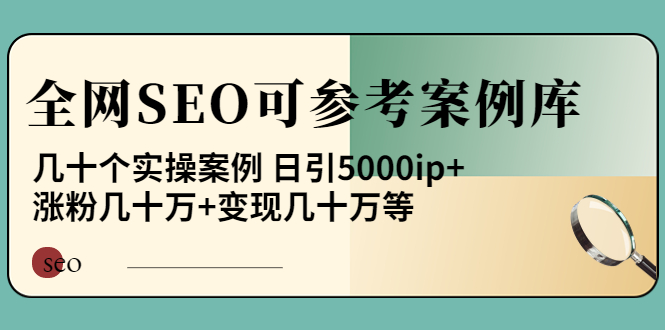 【副业项目4188期】《全网SEO可参考案例库》几十个实操案例 日引5000ip+涨粉百W+变现几十W等-91集赚创业网