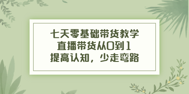 【副业项目4305期】七天零基础带货教学：直播带货从0到1，提高认知，少走弯路-91集赚创业网