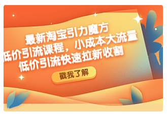 【副业项目4943期】最新淘宝引力魔方低价引流实操：小成本大流量，低价引流快速拉新收割-91集赚创业网