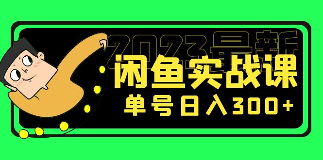 【副业项目5277期】花599买的闲鱼项目：2023最新闲鱼实战课，单号日入300+（7节课）-91集赚创业网