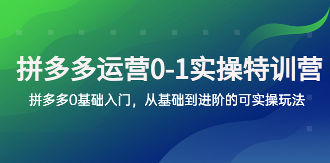 【副业项目5801期】拼多多-运营0-1实操训练营，拼多多0基础入门，从基础到进阶的可实操玩法-91集赚创业网