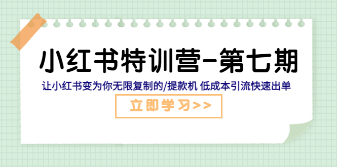 【副业项目5683期】小红书特训营-第七期 让小红书变为你无限复制的/提款机 低成本引流快速出单-91集赚创业网