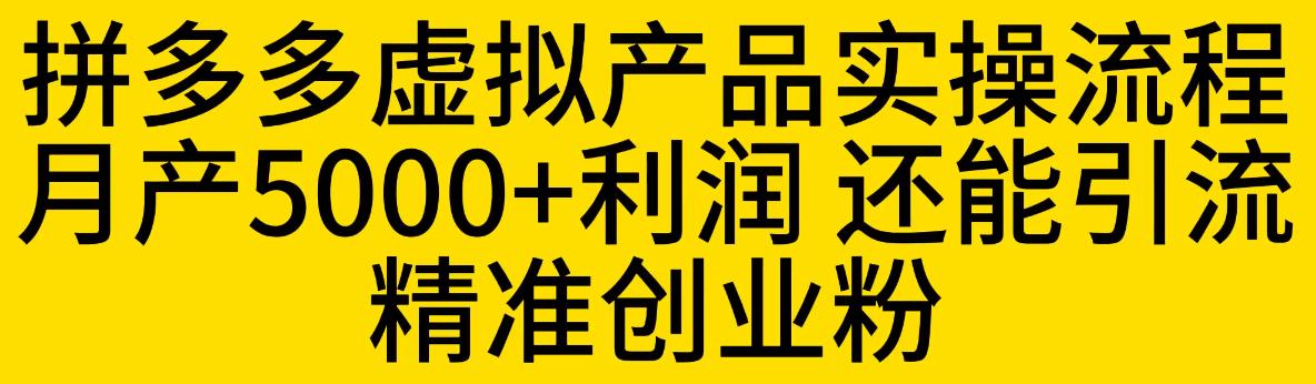 【副业项目6569期】拼多多虚拟产品实操流程，月产5000+利润，还能引流精准创业粉-91集赚创业网