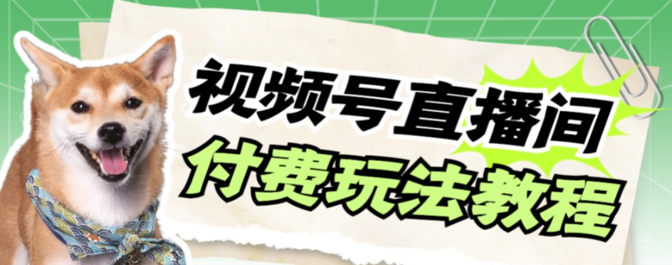 【副业项目7973期】视频号美女付费无人直播，轻松日入500+-91集赚创业网