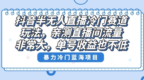 【副业8732期】抖音半无人直播冷门赛道玩法，直播间流量非常大，单号收益也不低！-91集赚创业网