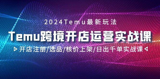 2024Temu跨境开店运营实战课，开店注册/选品/核价上架/日出千单实战课-91集赚创业网