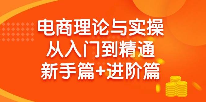 电商理论与实操从入门到精通 新手篇+进阶篇-91集赚创业网