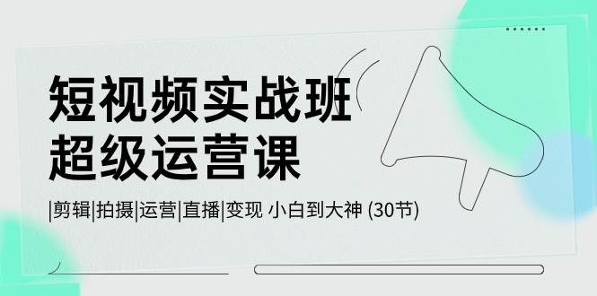 短视频实战班-超级运营课，|剪辑|拍摄|运营|直播|变现 小白到大神 (30节)-91集赚创业网