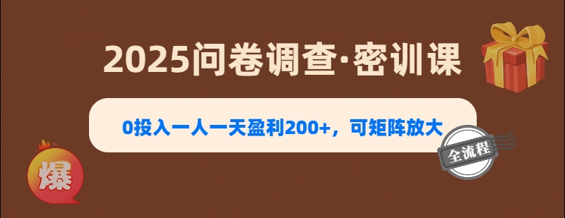 2025《问卷调查》0投入一人一天盈利200+，可矩阵放大-91集赚创业网